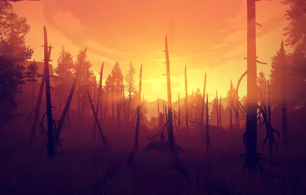 Sunset, The sun, The evening, The game, Trees, Forest, View, Hills
