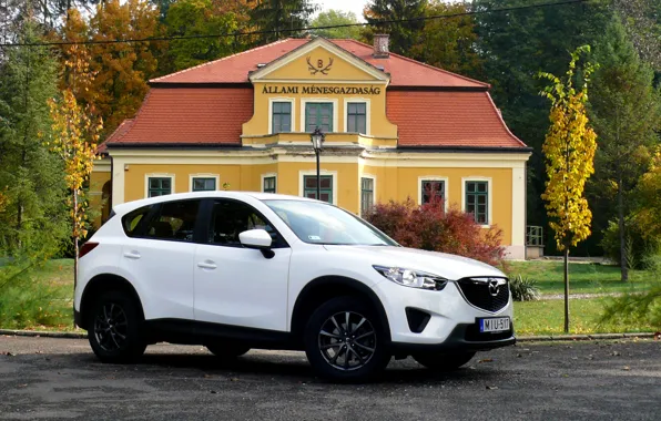 White, jeep, white, SUV, Mazda CX-5