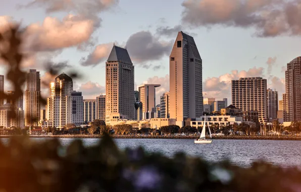 City, the city, Wallpaper, wallpaper, USA, USA, America, california