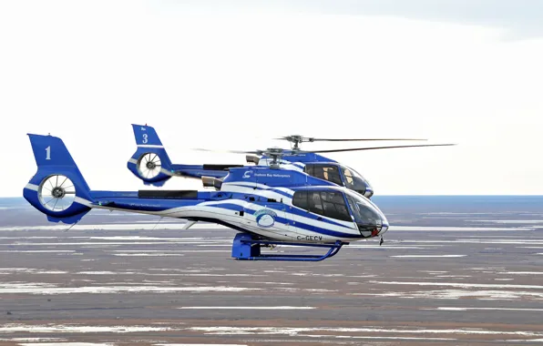 Picture the sky, helicopters, beautiful, pair