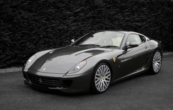 Picture ferrari, Ferrari, 599, fiorano, gtb