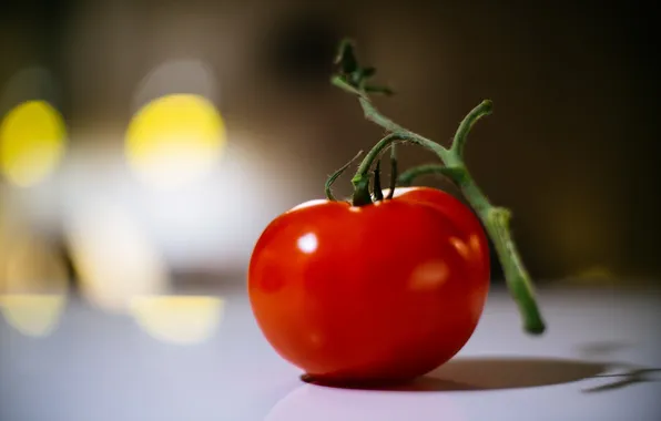 Picture macro, background, tomato