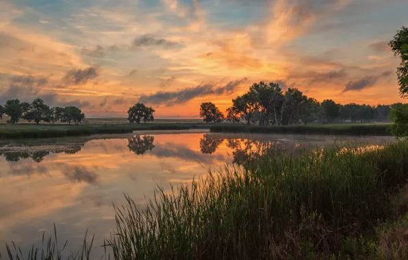 Picture summer, the sky, grass, clouds, trees, sunset, lake, reflection