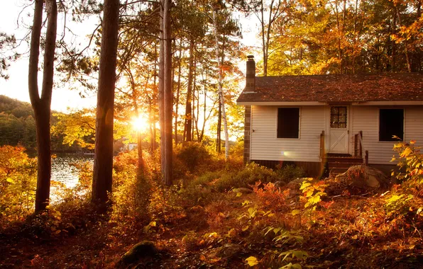 Picture autumn, forest, trees, sunset, nature, house