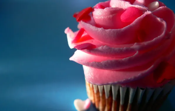 Picture close-up, cake, cream, pink rose