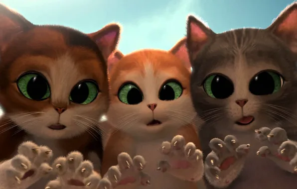 Cats, cartoon, surprise, tale, kittens, claws, green eyes, cats