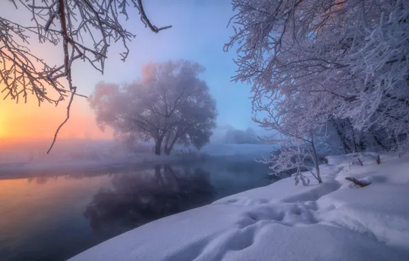 Winter, snow, trees, river, Russia, The River Istra