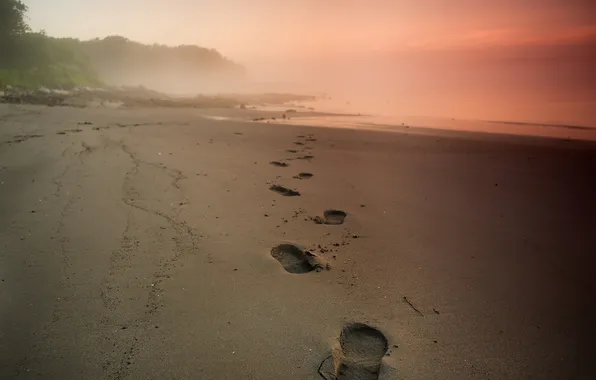 Sea, beach, traces, morning