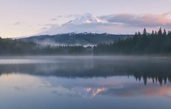 Forest, reflection, fog, lake, mountain