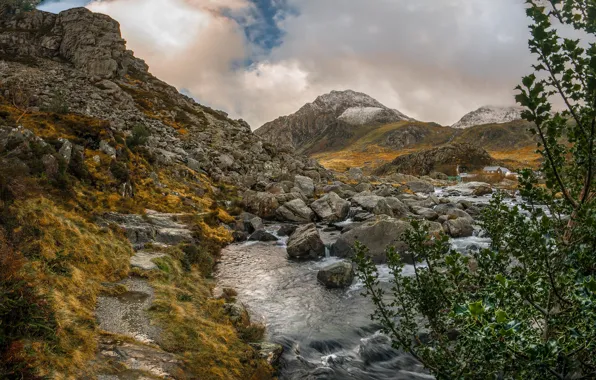Mountains, river, stones, tree, rocks, Wales