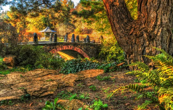 Picture autumn, trees, bridge, Park, HDR, gazebo, the bushes