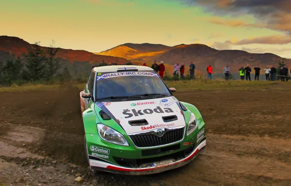 Picture Road, The city, Sport, Machine, Rally, Fans, Skoda, Fabia