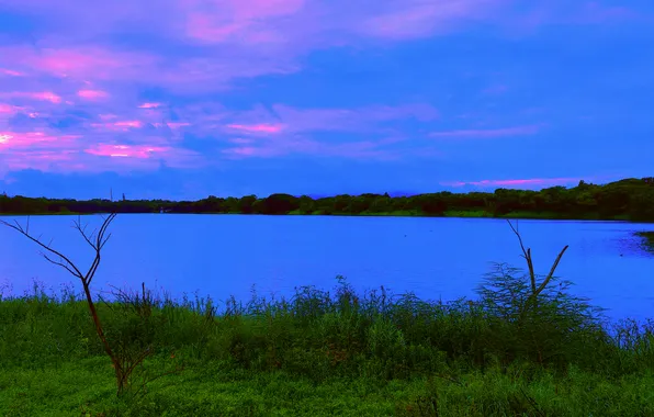 Sky, Grass, Water, Sunrise, Dawn, Morning, Lake, Bush