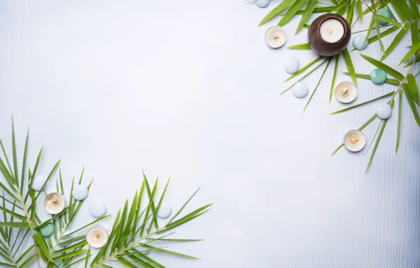 Picture candles, Spa, palm leaves