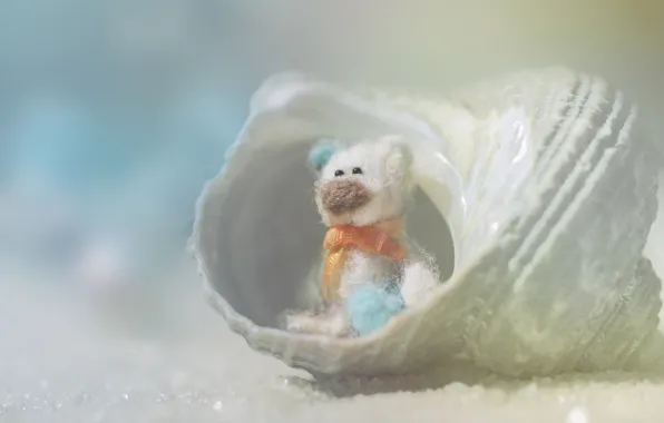 Beach, sand, teddy bear, shell