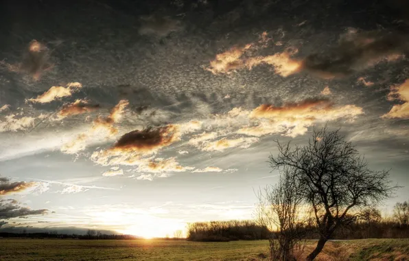 Picture sunset, the steppe, stream, sunrise, the sun