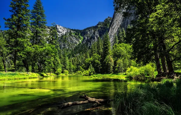 Trees, mountains, river, CA, Yosemite, California, Yosemite National Park, Sierra Nevada