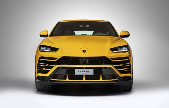 Picture Lamborghini, Light, Yellow, New, Urus, VAG, LED