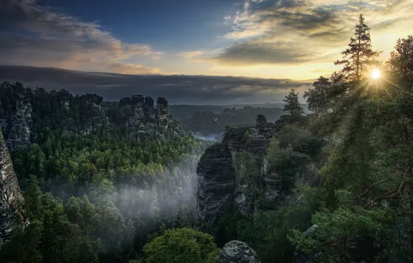 Forest, the sun, rays, landscape, sunset, mountains, nature, rocks