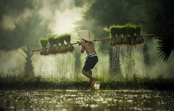 Man, child, asian, villager