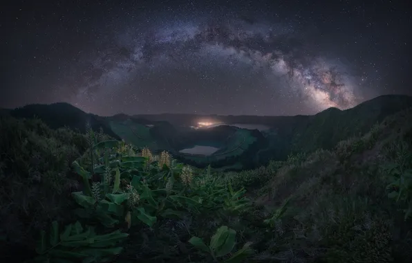 Stars, night, The milky way