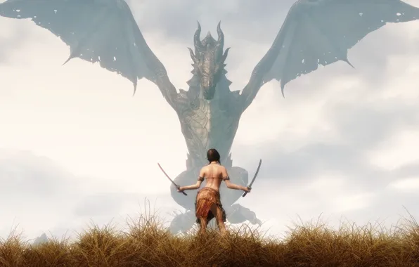 Picture grass, girl, fog, weapons, dragon, The Elder Scrolls V Skyrim