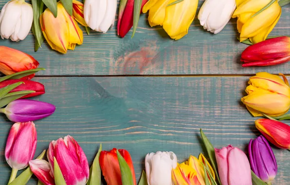 Picture flowers, colorful, tulips, wood, flowers, tulips, spring