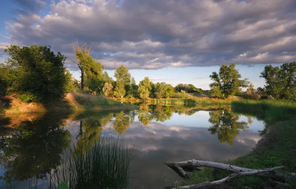 Summer, the sky, grass, clouds, light, trees, lake, pond