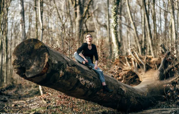 Forest, look, pose, Park, model, portrait, makeup, Mike