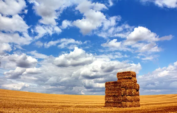 Picture field, the sky, stack, space, hay, the barn
