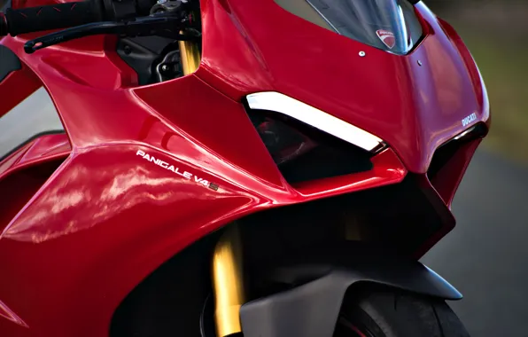 Picture Ducati, Daytime Running Lights, Panigale V4S