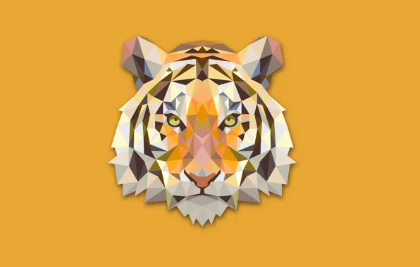 Abstraction, tiger, minimalism, head, tiger
