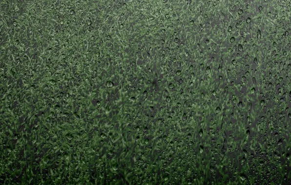 Grass, glass, drops, rain