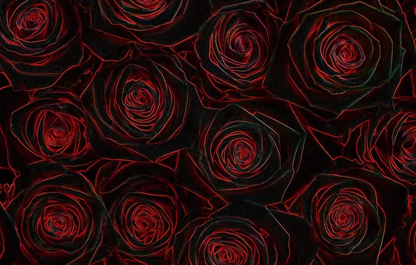 Flowers, photoshop, Wallpaper 1920x1080, my photoshop