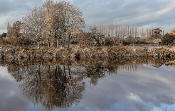 Wallpaper Autumn, England, Alverthorpe, winter reflections, Wakefield ...