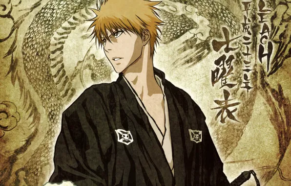 Picture pattern, red, characters, emblem, guy, Bleach, Bleach, Japanese clothing