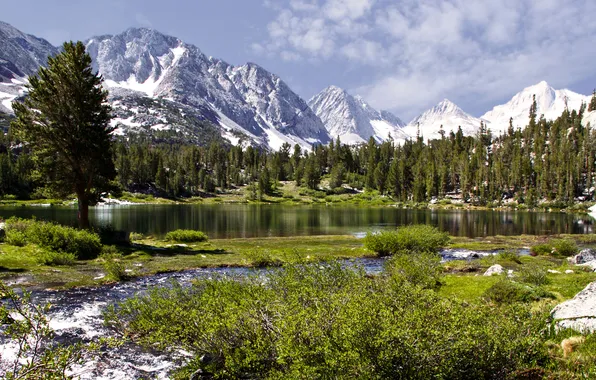 Forest, the sky, mountains, river