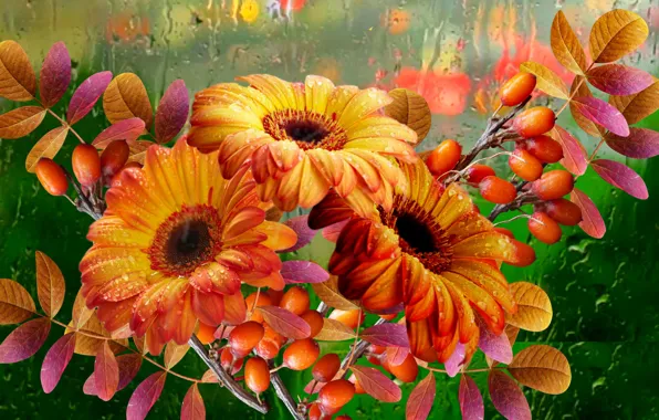 Picture autumn, flowers, rain, Bouquet