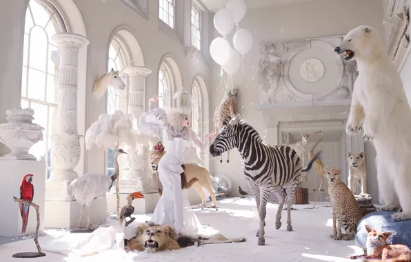 Girl, the situation, the Zoological Museum