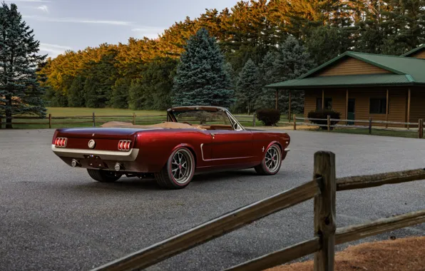 Mustang, Ford, Ringbrothers, 1965 Ford Mustang Convertible, Ford Mustang Uncaged