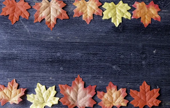 Picture autumn, leaves, background, colorful, wood, background, autumn, leaves