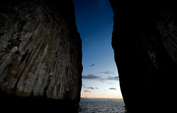 Picture birds, power, the rift, rock.the ocean