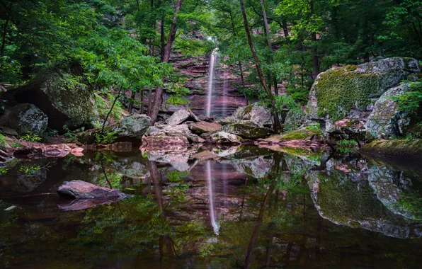 Picture forest, water, trees, reflection, stones, rocks, waterfall, moss