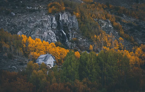 Picture house, forest, trees, autumn, mountains, rocks, landscapes, home
