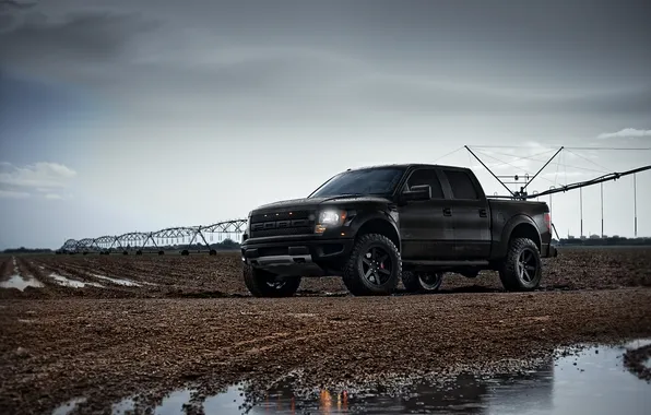 The sky, rain, black, tuning, Ford, puddle, Ford, raptor