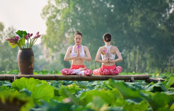 Picture summer, flowers, girls, concentration, gymnastics, yoga, Asian girls