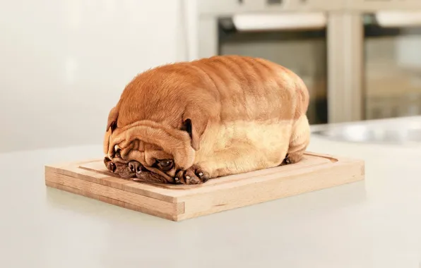 Picture Kitchen, bread