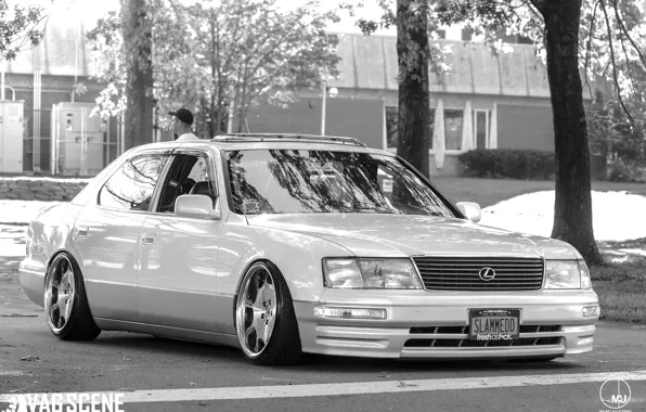 Lexus, sedan, Lexus, luxury