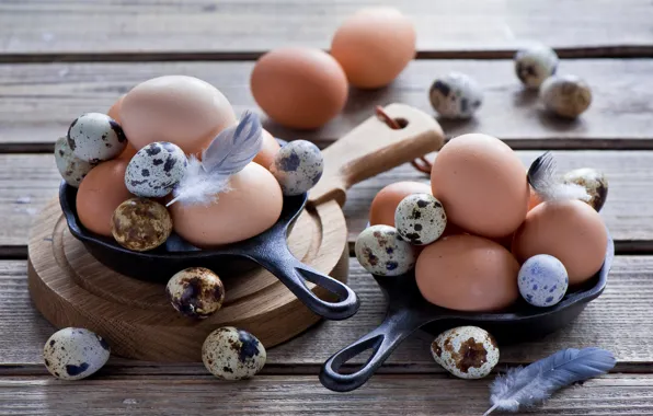Picture eggs, quail, chicken