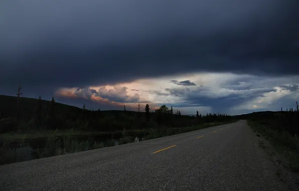 Road, landscape, night